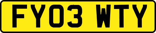 FY03WTY