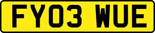 FY03WUE