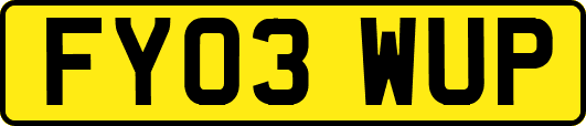 FY03WUP