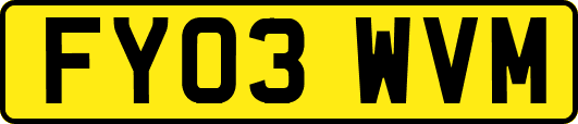 FY03WVM
