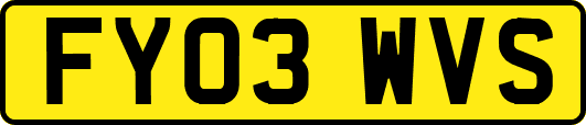 FY03WVS