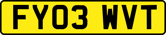 FY03WVT