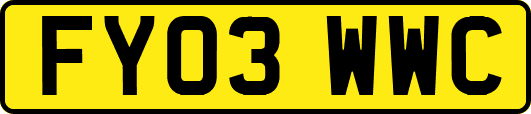 FY03WWC