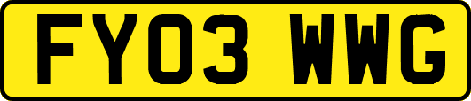 FY03WWG