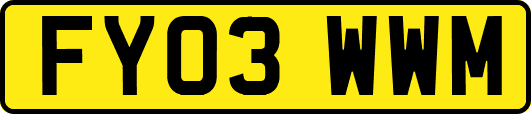 FY03WWM