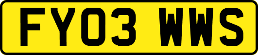 FY03WWS