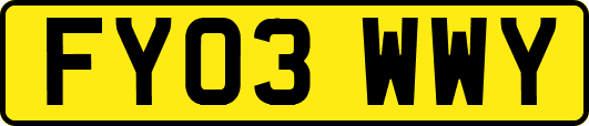FY03WWY