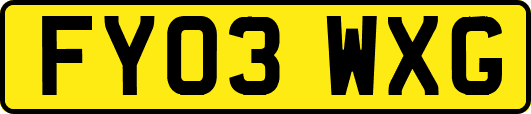 FY03WXG