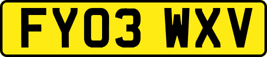 FY03WXV