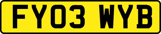 FY03WYB