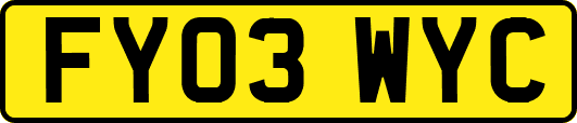 FY03WYC