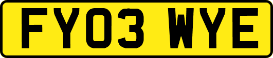 FY03WYE