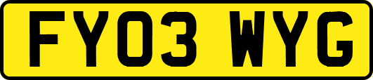 FY03WYG