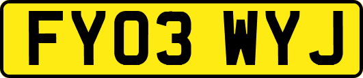 FY03WYJ