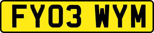 FY03WYM