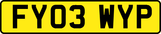 FY03WYP