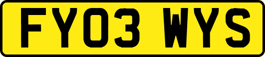 FY03WYS