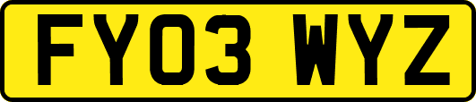 FY03WYZ