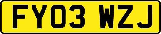 FY03WZJ