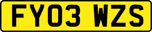 FY03WZS