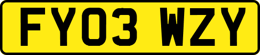 FY03WZY