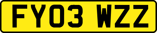 FY03WZZ