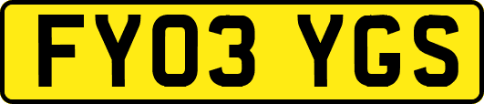 FY03YGS