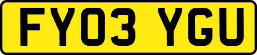 FY03YGU