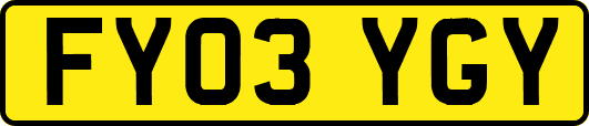 FY03YGY