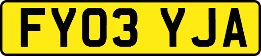 FY03YJA