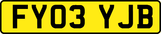 FY03YJB