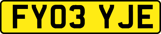 FY03YJE