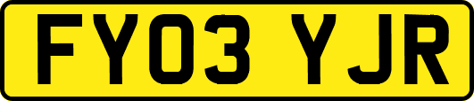 FY03YJR