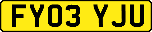 FY03YJU