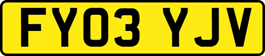 FY03YJV