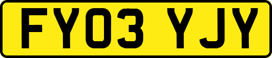 FY03YJY