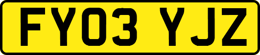 FY03YJZ