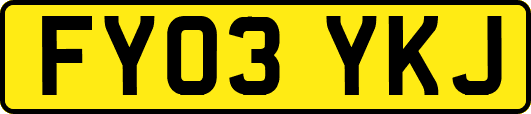 FY03YKJ