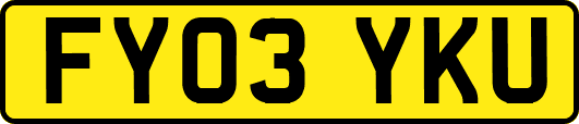 FY03YKU
