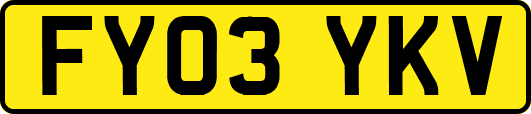 FY03YKV