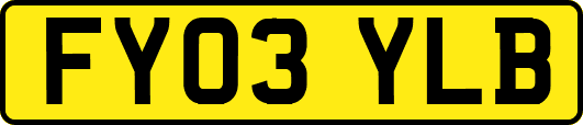 FY03YLB