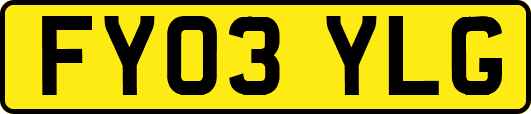 FY03YLG