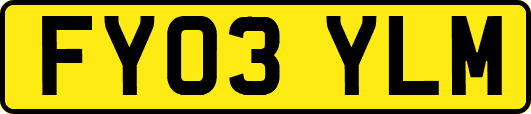 FY03YLM