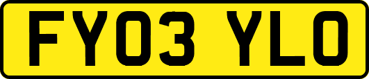 FY03YLO