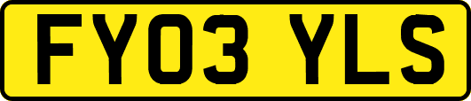 FY03YLS