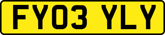 FY03YLY