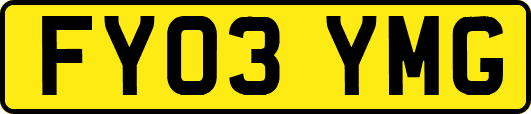 FY03YMG