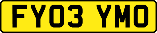 FY03YMO