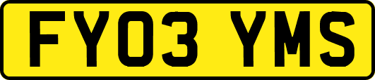 FY03YMS