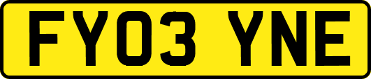 FY03YNE